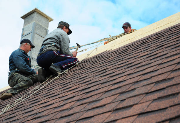 Best Roof Gutter Cleaning  in West Yellowstone, MT